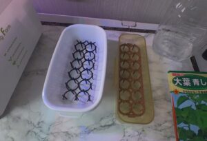 水耕栽培　百均道具