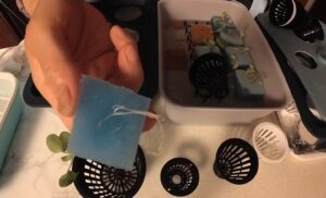 水耕栽培　種まきトレー