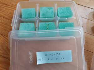 水耕栽培 自作キット