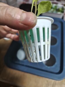 水耕栽培 自作キット