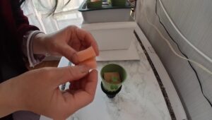 水耕栽培 種まきトレー