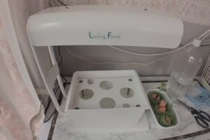 水耕栽培　必要な道具