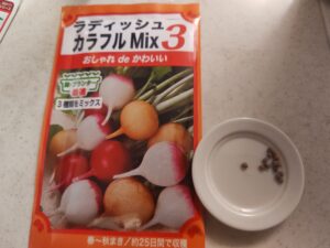 水耕栽培2026　ラディッシュ