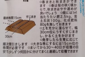 水耕栽培2026　失敗しない種まき