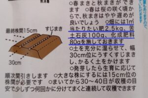 水耕栽培2026　失敗しない種まき