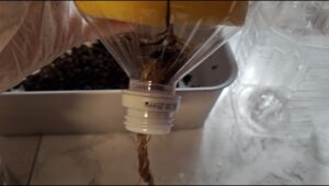 水耕栽培　ペットボトル栽培