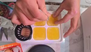 水耕栽培 シソ