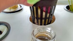 水耕栽培　自作キット　育苗ポット