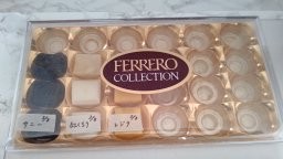 水耕栽培　レジナ