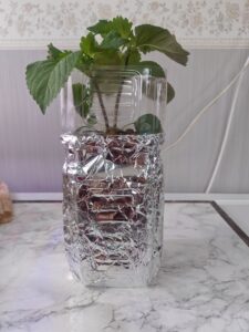 水耕栽培の道具