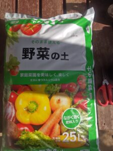 プランター栽培　ナス　露地栽培